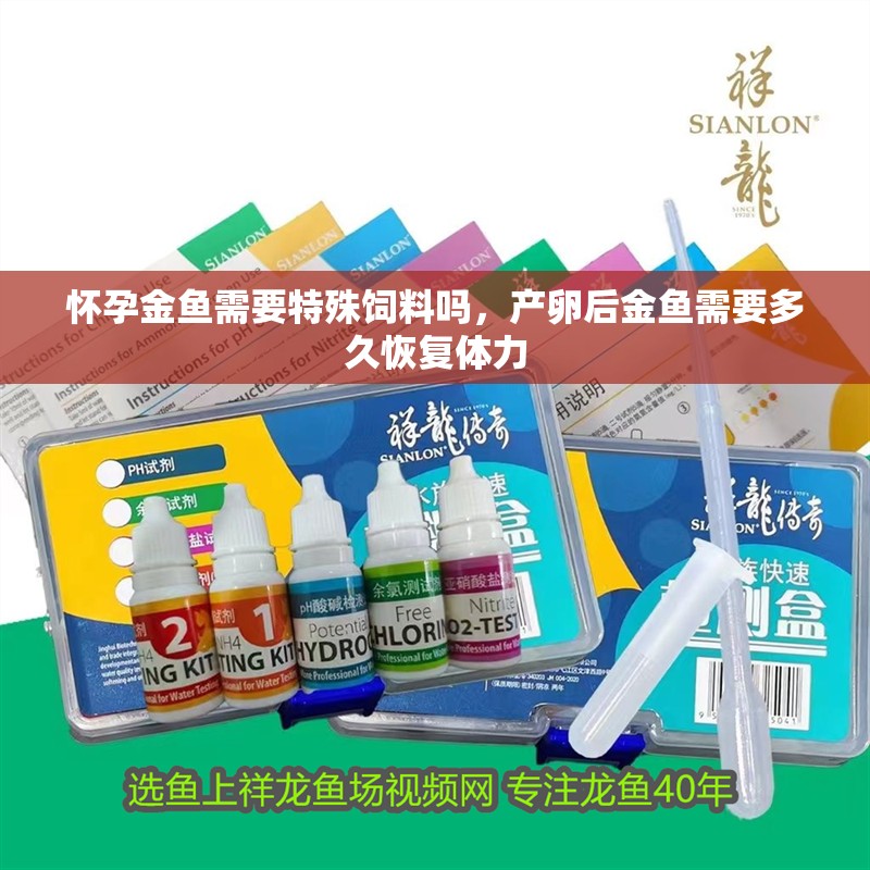 懷孕金魚需要特殊飼料嗎，產卵后金魚需要多久恢復體力