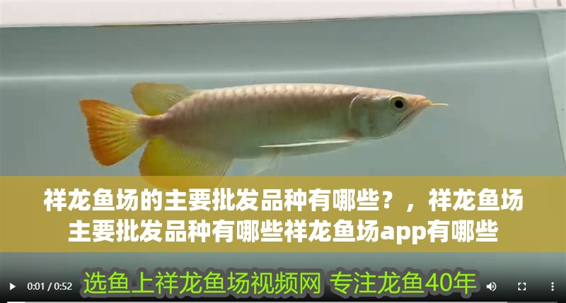 祥龍魚場的主要批發品種有哪些？，祥龍魚場主要批發品種有哪些祥龍魚場app有哪些