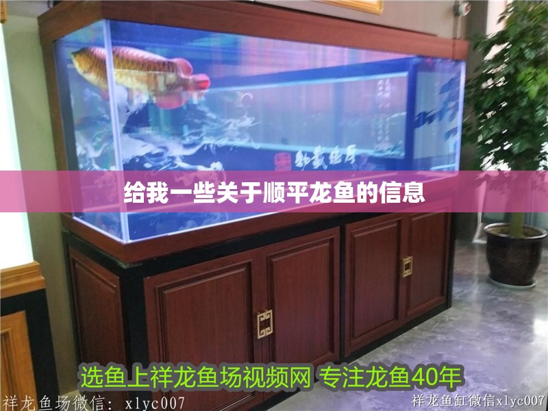 給我一些關(guān)于順平龍魚的信息