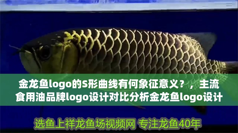金龍魚logo的S形曲線有何象征意義？，主流食用油品牌logo設計對比分析金龍魚logo設計對比分析