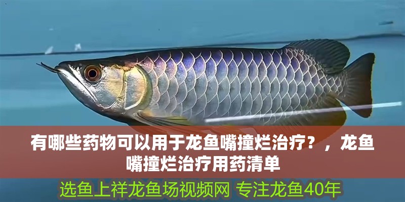 有哪些藥物可以用于龍魚嘴撞爛治療？，龍魚嘴撞爛治療用藥清單