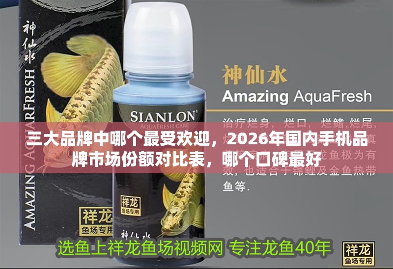 三大品牌中哪個最受歡迎，2026年國內手機品牌市場份額對比表，哪個口碑最好