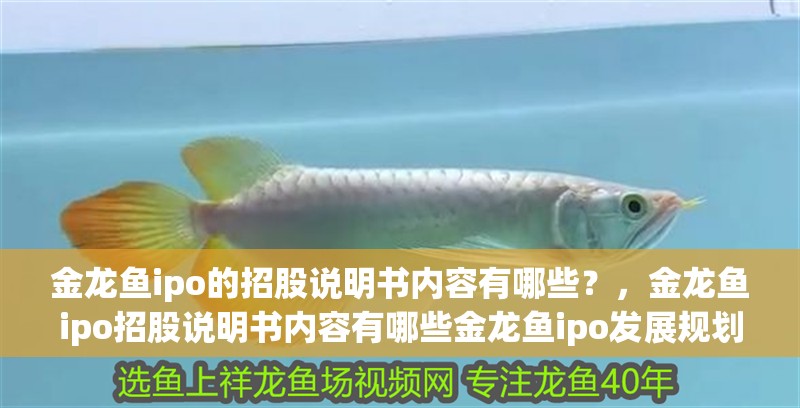 金龍魚ipo的招股說明書內容有哪些？，金龍魚ipo招股說明書內容有哪些金龍魚ipo發展規劃