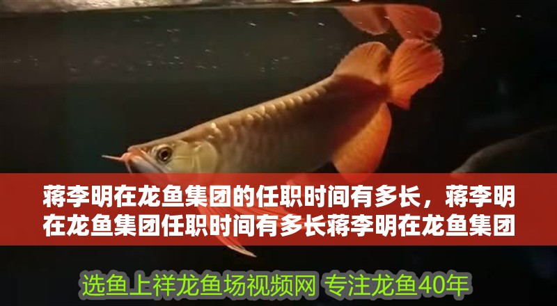 蔣李明在龍魚集團的任職時間有多長，蔣李明在龍魚集團任職時間有多長蔣李明在龍魚集團任職時間有多長