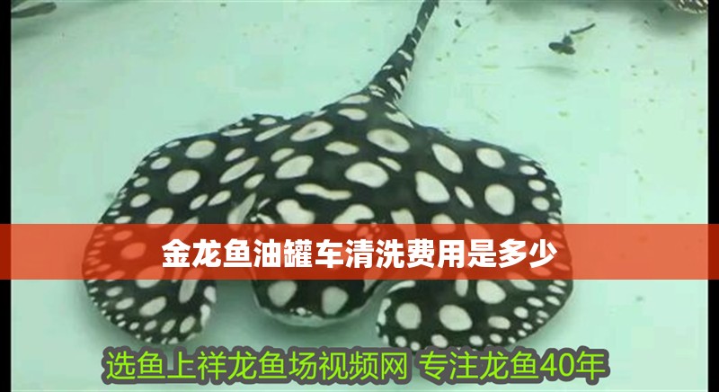 金龍魚油罐車清洗費用是多少