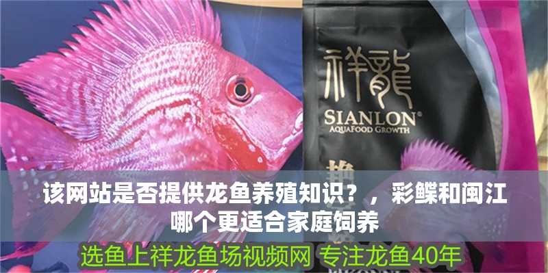 該網站是否提供龍魚養殖知識？，彩鰈和閩江哪個更適合家庭飼養