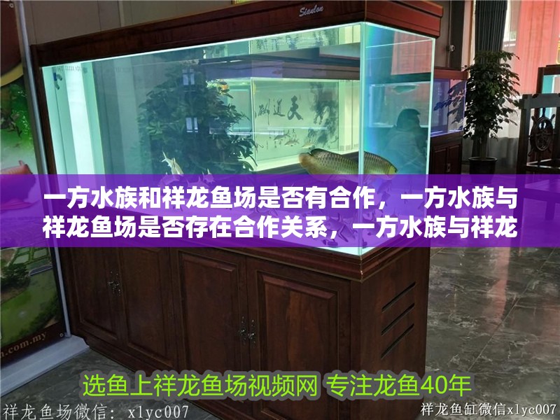 一方水族和祥龍魚場是否有合作，一方水族與祥龍魚場是否存在合作關系，一方水族與祥龍魚場合作