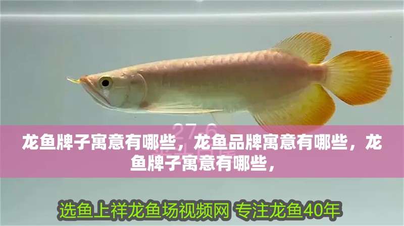 龍魚牌子寓意有哪些，龍魚品牌寓意有哪些，龍魚牌子寓意有哪些，