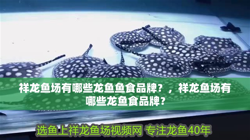 祥龍魚場(chǎng)有哪些龍魚魚食品牌？，祥龍魚場(chǎng)有哪些龍魚食品牌？
