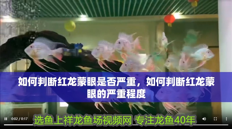 如何判斷紅龍蒙眼是否嚴重，如何判斷紅龍蒙眼的嚴重程度