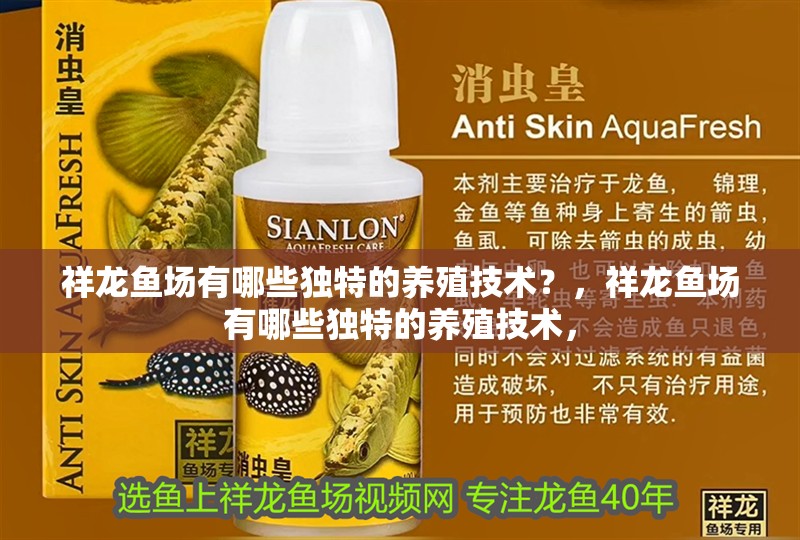 祥龍魚場有哪些獨特的養殖技術？，祥龍魚場有哪些獨特的養殖技術，
