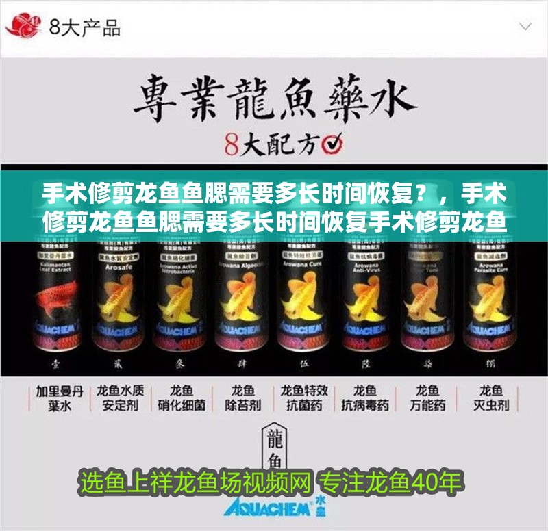 手術修剪龍魚魚腮需要多長時間恢復？，手術修剪龍魚魚腮需要多長時間恢復手術修剪龍魚魚腮需要多少錢