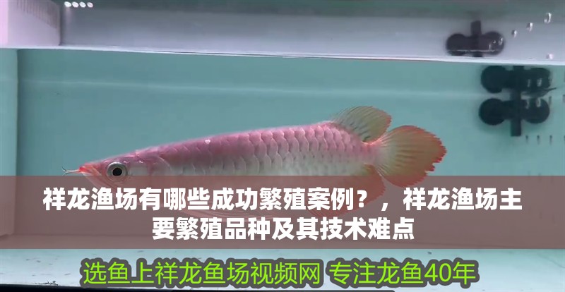 祥龍漁場有哪些成功繁殖案例？，祥龍漁場主要繁殖品種及其技術難點