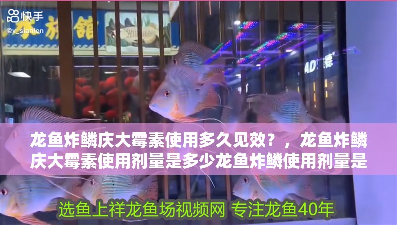 龍魚炸鱗慶大霉素使用多久見效？，龍魚炸鱗慶大霉素使用劑量是多少龍魚炸鱗使用劑量是多少