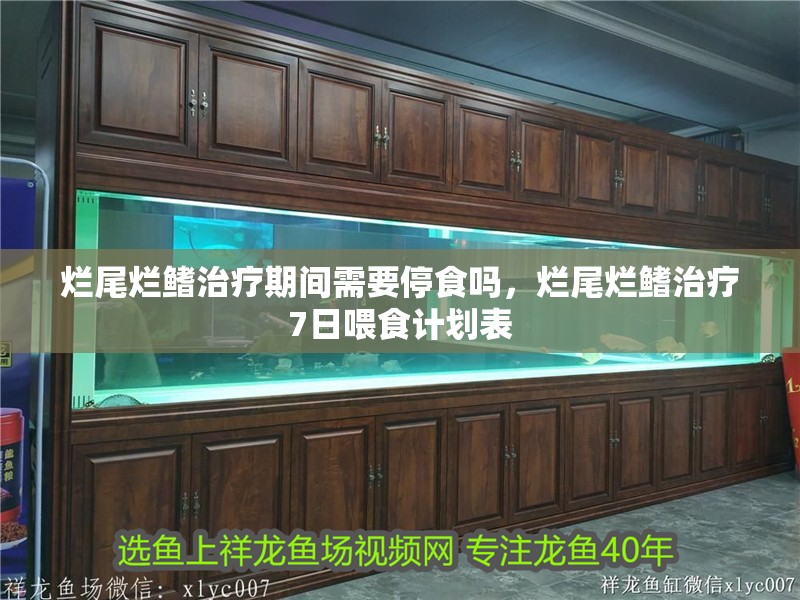 爛尾爛鰭治療期間需要停食嗎，爛尾爛鰭治療7日喂食計劃表