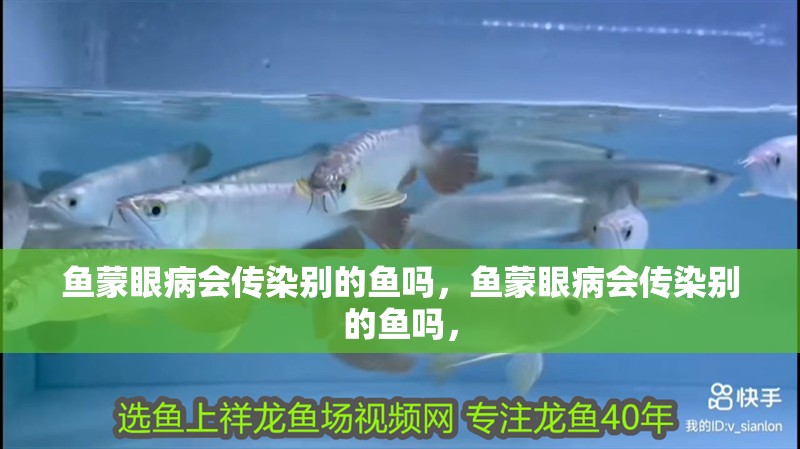 魚蒙眼病會傳染別的魚嗎，魚蒙眼病會傳染別的魚嗎，
