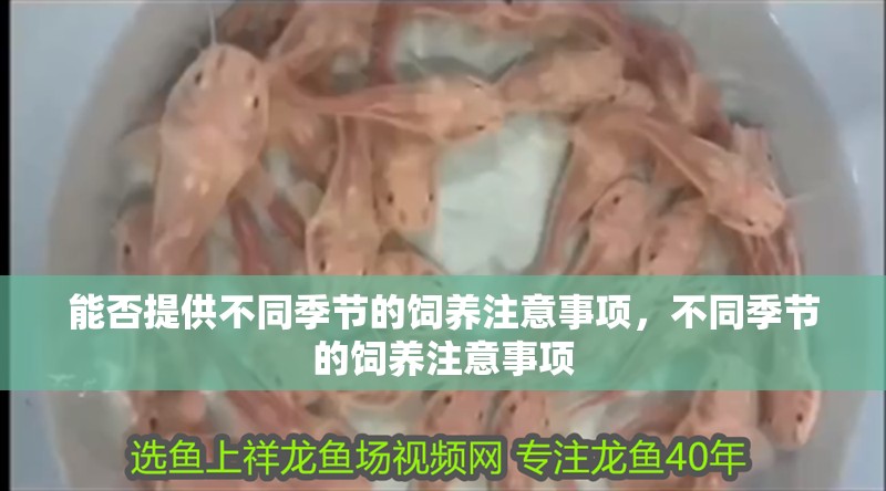 能否提供不同季節的飼養注意事項，不同季節的飼養注意事項