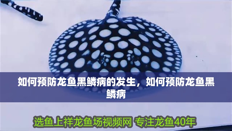 如何預防龍魚黑鱗病的發生，如何預防龍魚黑鱗病