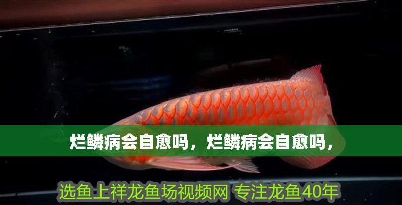 爛鱗病會自愈嗎，爛鱗病會自愈嗎，