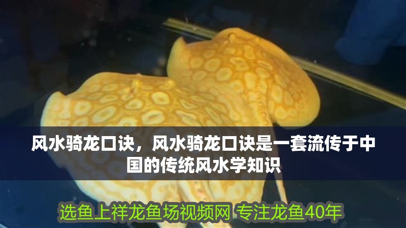 風水騎龍口訣，風水騎龍口訣是一套流傳于中國的傳統風水學知識
