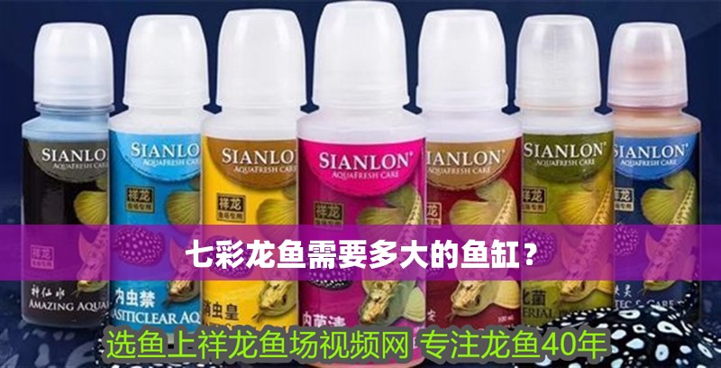 七彩龍魚需要多大的魚缸？