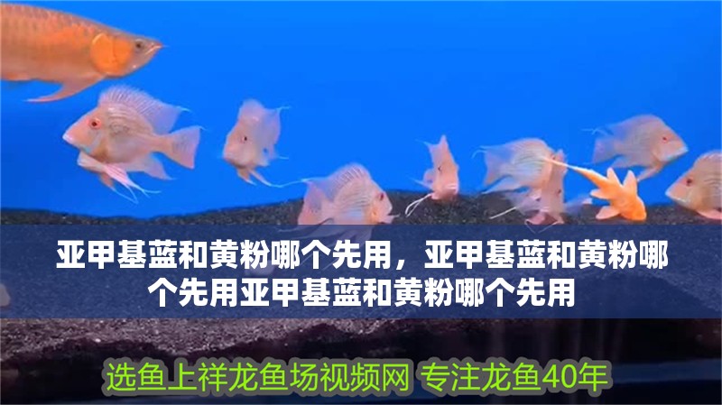 亞甲基藍和黃粉哪個先用，亞甲基藍和黃粉哪個先用亞甲基藍和黃粉哪個先用