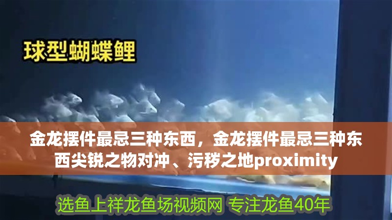 金龍擺件最忌三種東西，金龍擺件最忌三種東西尖銳之物對沖、污穢之地proximity