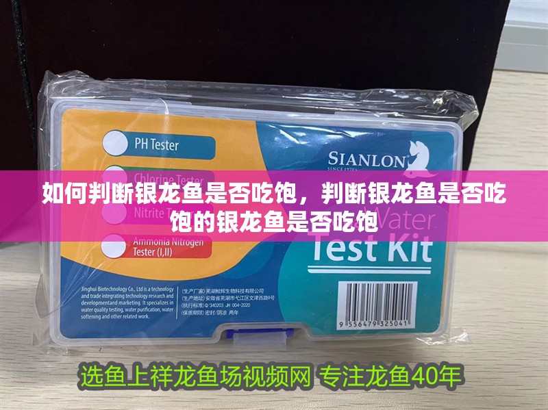 如何判斷銀龍魚是否吃飽，判斷銀龍魚是否吃飽的銀龍魚是否吃飽