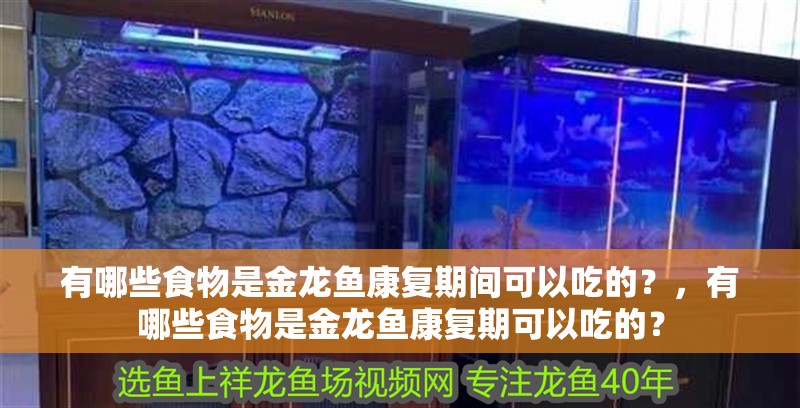 有哪些食物是金龍魚康復(fù)期間可以吃的？，有哪些食物是金龍魚康復(fù)期可以吃的？