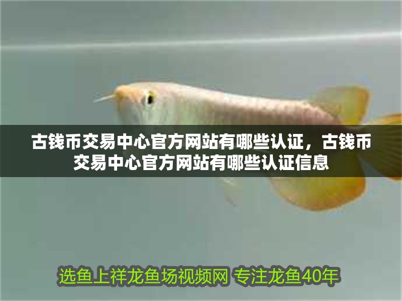 古錢幣交易中心官方網站有哪些認證，古錢幣交易中心官方網站有哪些認證信息