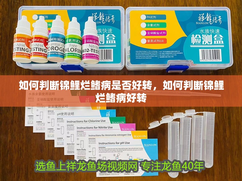 如何判斷錦鯉爛鰭病是否好轉，如何判斷錦鯉爛鰭病好轉