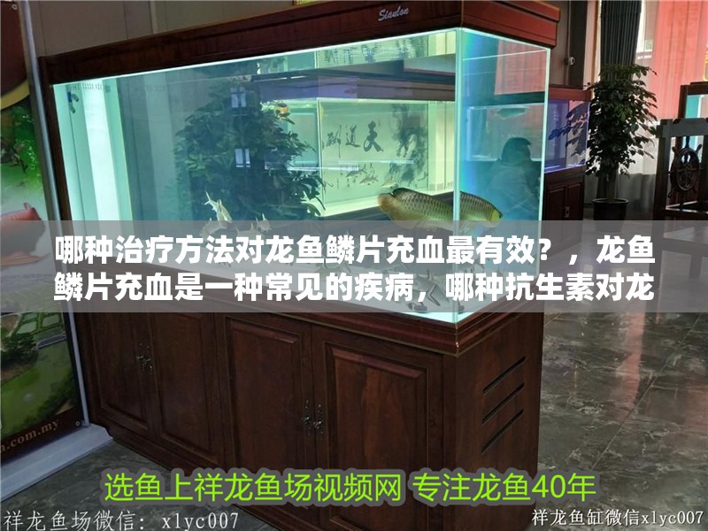 哪種治療方法對龍魚鱗片充血最有效？，龍魚鱗片充血是一種常見的疾病，哪種抗生素對龍魚鱗片充血最有效