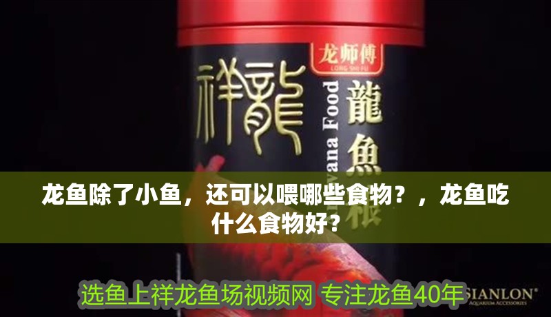 龍魚除了小魚，還可以喂哪些食物？，龍魚吃什么食物好？