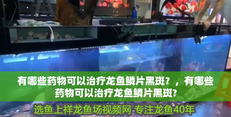 有哪些藥物可以治療龍魚(yú)鱗片黑斑？，有哪些藥物可以治療龍魚(yú)鱗片黑斑?