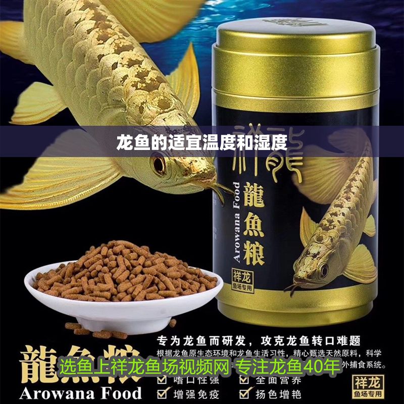 龍魚的適宜溫度和濕度