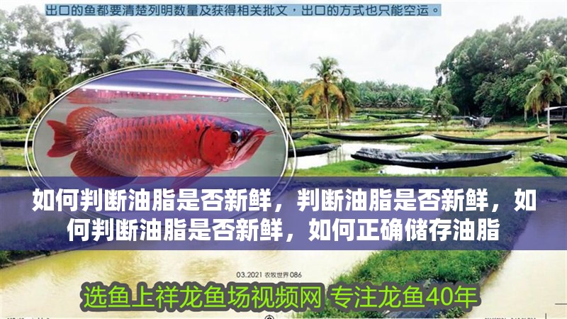 如何判斷油脂是否新鮮，判斷油脂是否新鮮，如何判斷油脂是否新鮮，如何正確儲存油脂