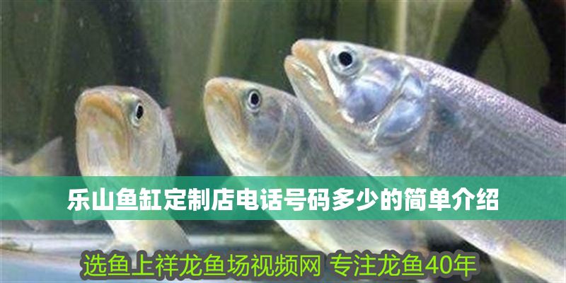 樂山魚缸定制店電話號碼多少的簡單介紹 樂山魚缸定制店電話號碼多少的簡單介紹 全國水族館企業名錄 第1張