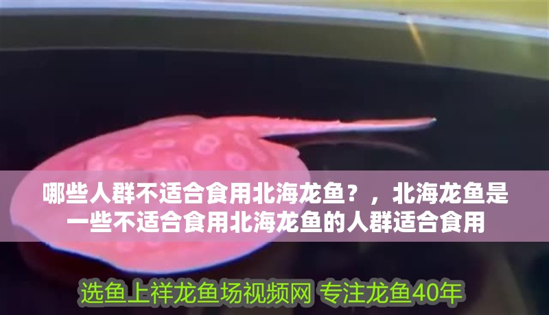 哪些人群不適合食用北海龍魚？，北海龍魚是一些不適合食用北海龍魚的人群適合食用