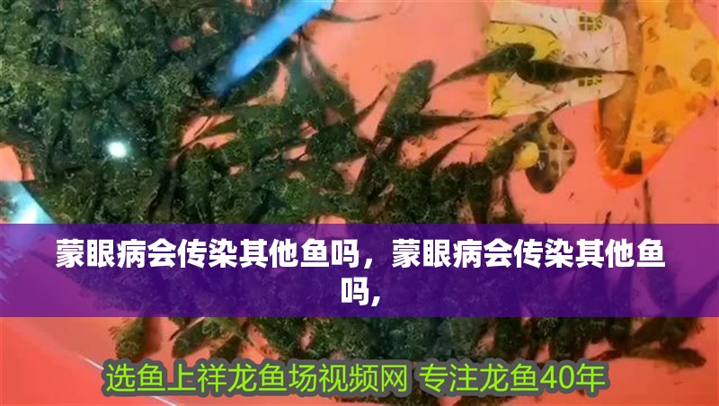 蒙眼病會(huì)傳染其他魚嗎，蒙眼病會(huì)傳染其他魚嗎,