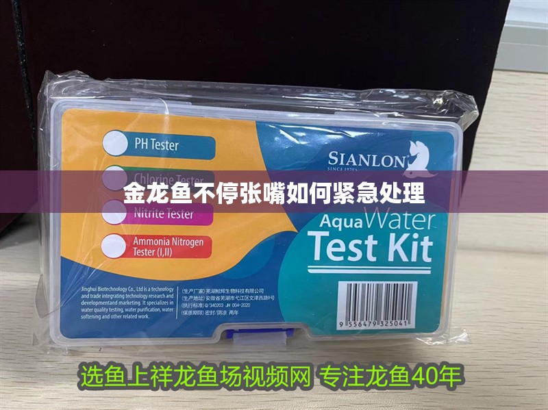 金龍魚不停張嘴如何緊急處理