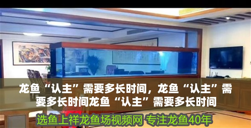 龍魚“認(rèn)主”需要多長時間，龍魚“認(rèn)主”需要多長時間龍魚“認(rèn)主”需要多長時間