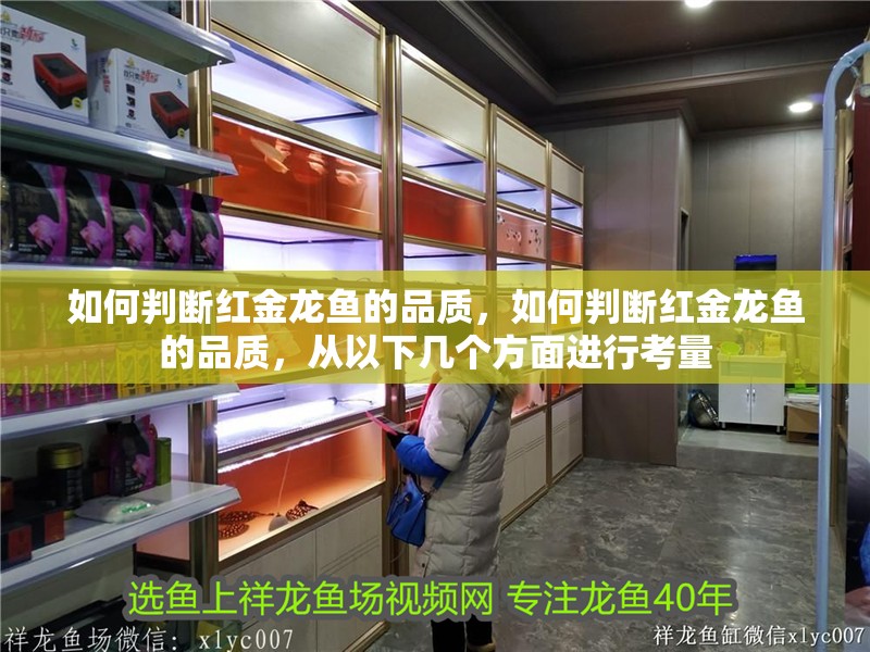 如何判斷紅金龍魚的品質，如何判斷紅金龍魚的品質，從以下幾個方面進行考量