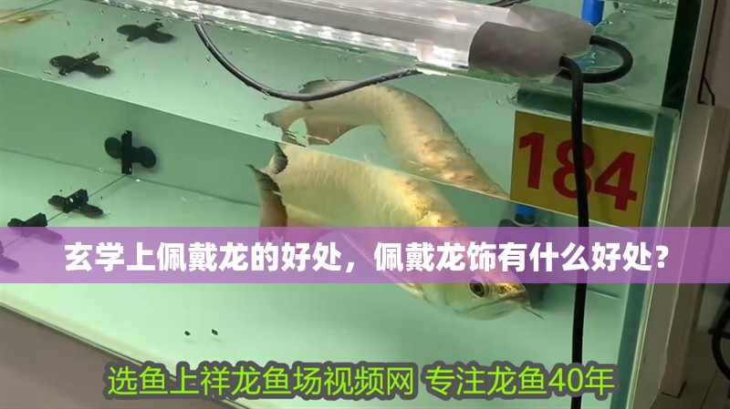 玄學上佩戴龍的好處，佩戴龍飾有什么好處？