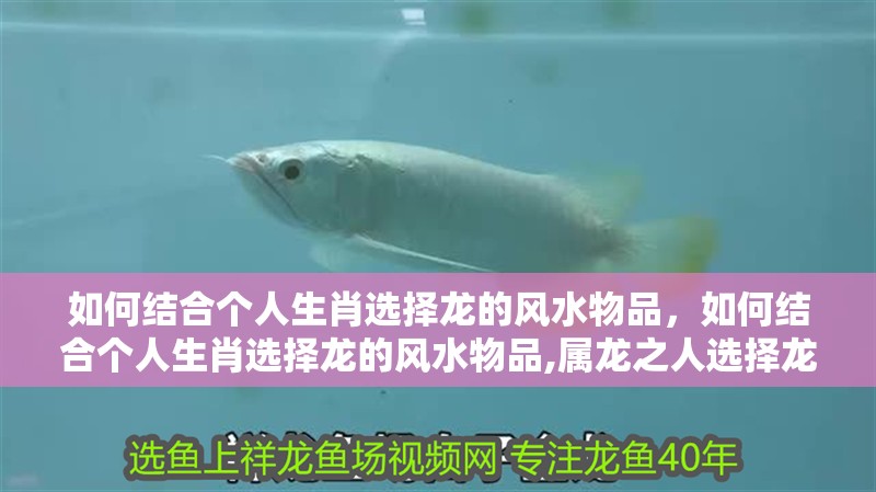 如何結合個人生肖選擇龍的風水物品，如何結合個人生肖選擇龍的風水物品,屬龍之人選擇龍形風水物品