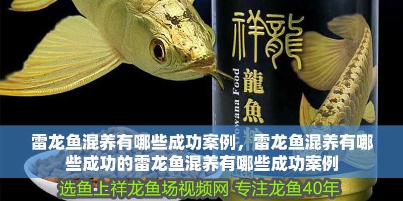 雷龍魚混養有哪些成功案例，雷龍魚混養有哪些成功的雷龍魚混養有哪些成功案例