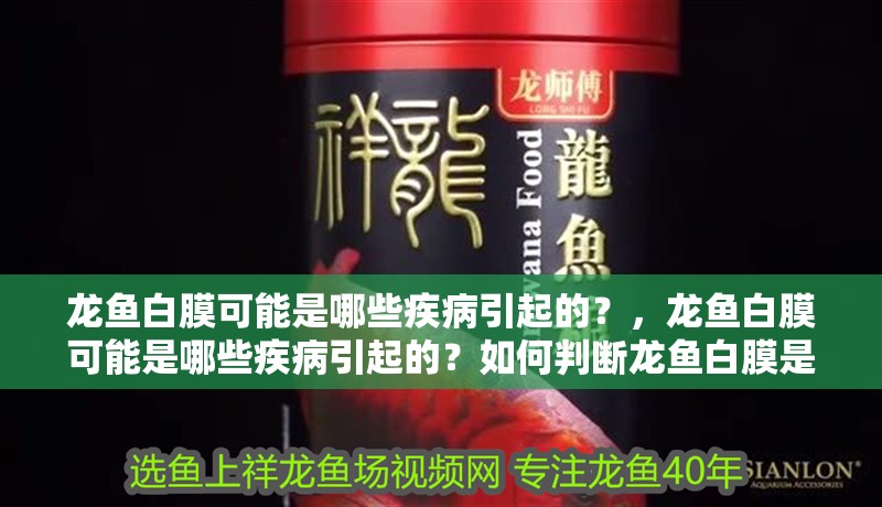 龍魚白膜可能是哪些疾病引起的？，龍魚白膜可能是哪些疾病引起的？如何判斷龍魚白膜是哪種疾病引起的？