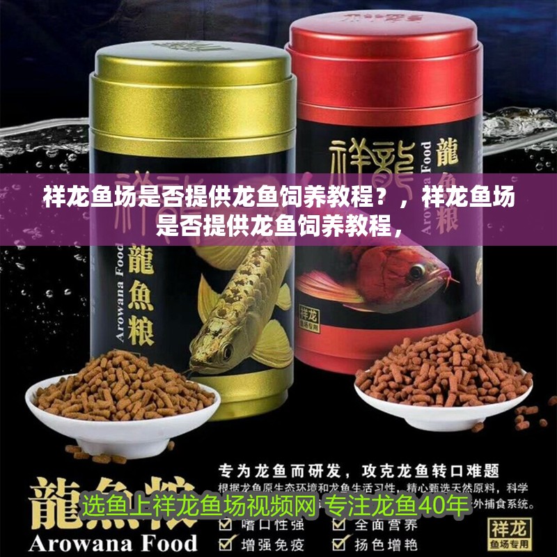 祥龍魚場是否提供龍魚飼養教程？，祥龍魚場是否提供龍魚飼養教程，