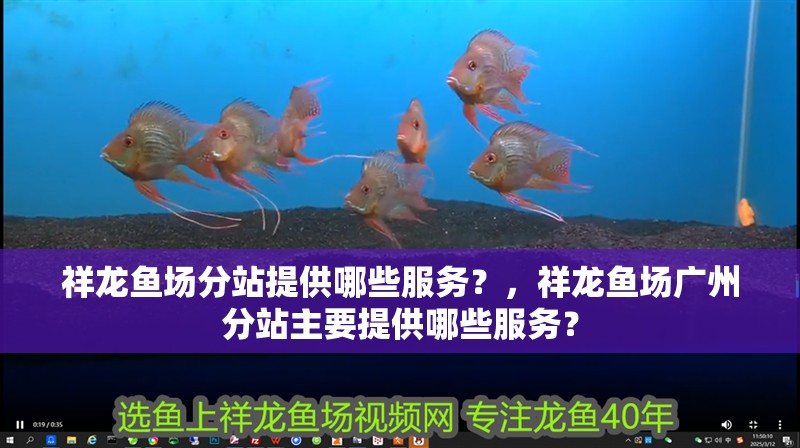 祥龍魚場分站提供哪些服務(wù)？，祥龍魚場廣州分站主要提供哪些服務(wù)？