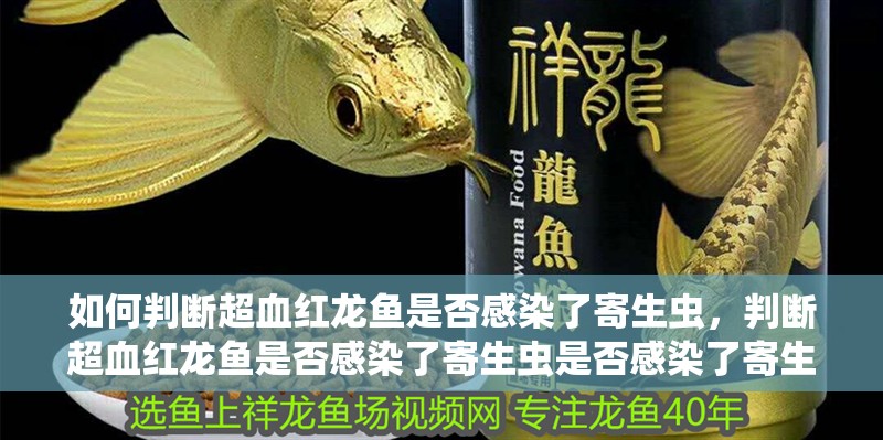 如何判斷超血紅龍魚是否感染了寄生蟲，判斷超血紅龍魚是否感染了寄生蟲是否感染了寄生蟲