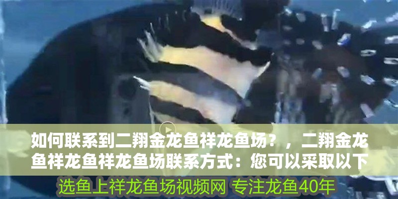 如何聯系到二翔金龍魚祥龍魚場？，二翔金龍魚祥龍魚祥龍魚場聯系方式：您可以采取以下幾種方式